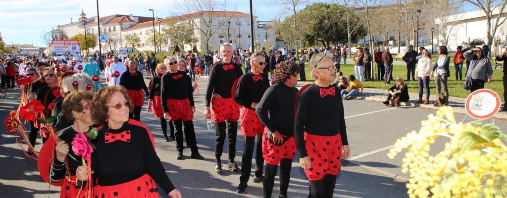 6CorsoCarnavalescodaCidadedeMontemoroNovo_F_13_1598003340.