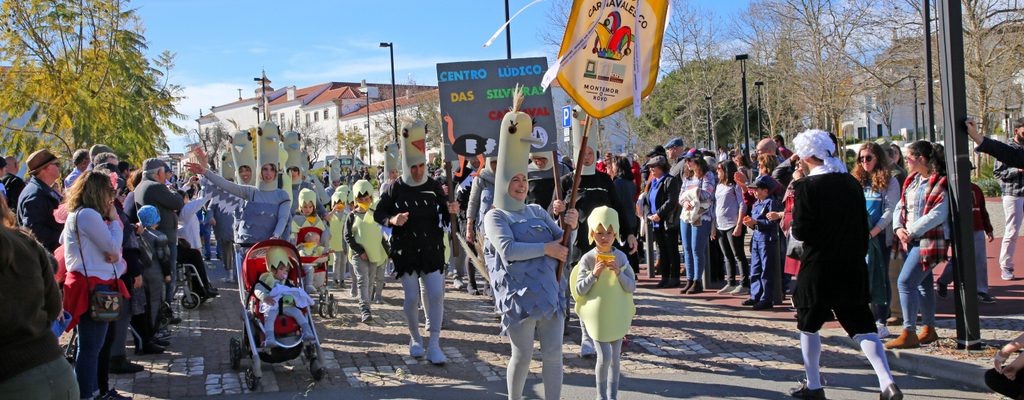 6CorsoCarnavalescodaCidadedeMontemoroNovo_F_3_1598003336.