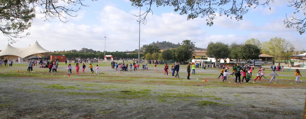 CortaMatoEscolarnoParquedeExposiesdeMontemoroNovo_F_9_1598002232.
