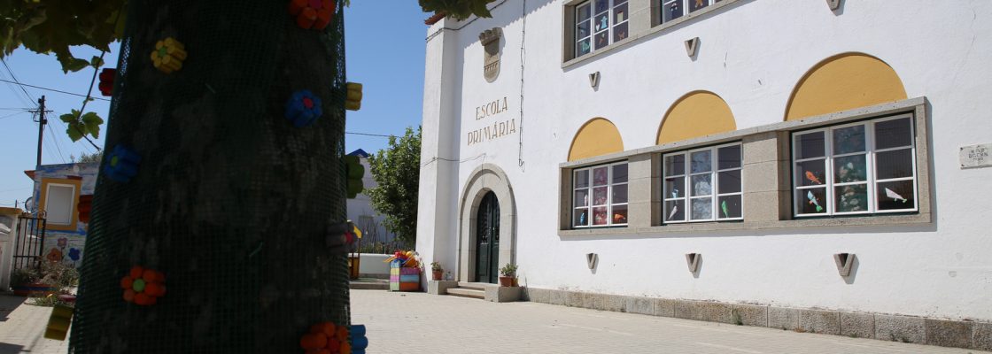 DeCoraonaminhaEscoladecoraMontemoroNovo_F_14_1598009658.