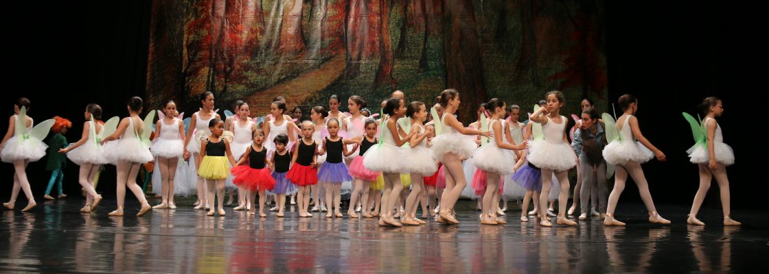 EscoladeBalletdaCmaraMunicipalapresentaespetculodeencerramentodeanoletivo_F_11_1598014903.