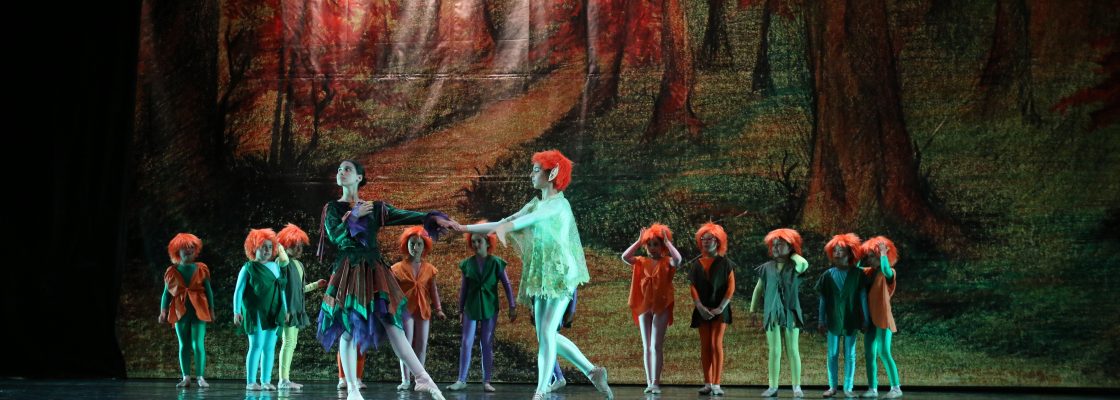 EscoladeBalletdaCmaraMunicipalapresentaespetculodeencerramentodeanoletivo_F_9_1598014895.
