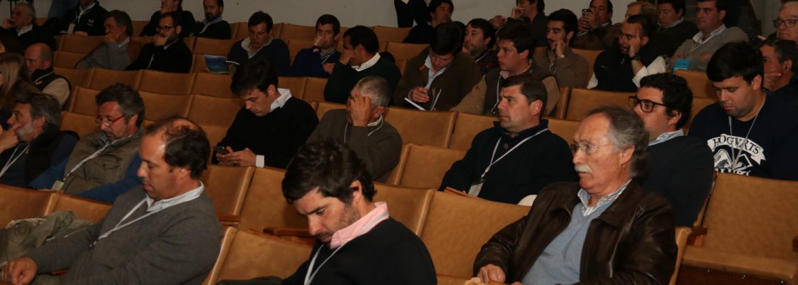 JornadasTcnicasVetAgroMor_F_1_1598007502.