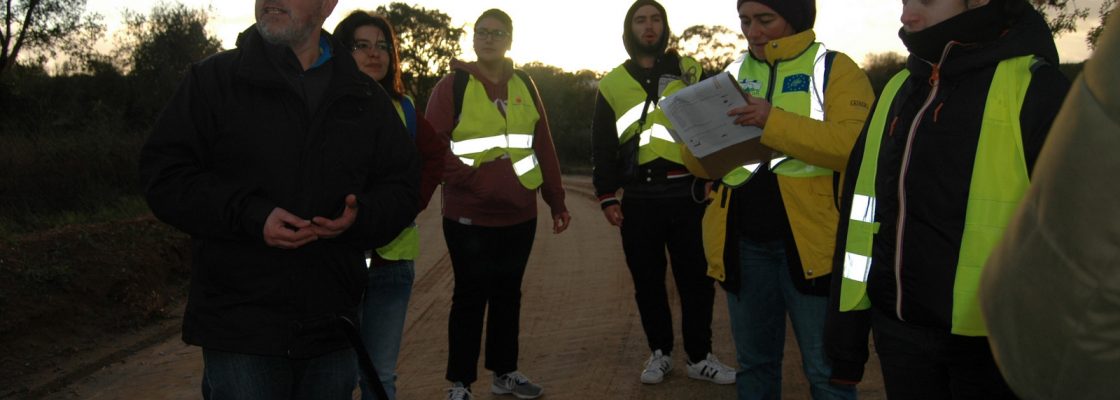 VoluntariadoparaaconservaodanaturezaemMontemoroNovo_F_6_1598008147.