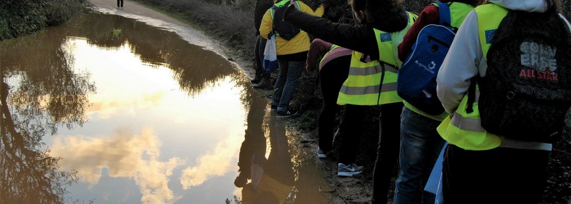 VoluntariadoparaaconservaodanaturezaemMontemoroNovo_F_7_1598008147.