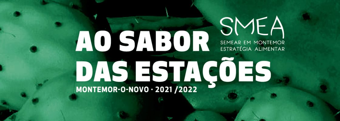 SMEA – Ao Sabor das Estações – DES (FRUTA)R do Verão!