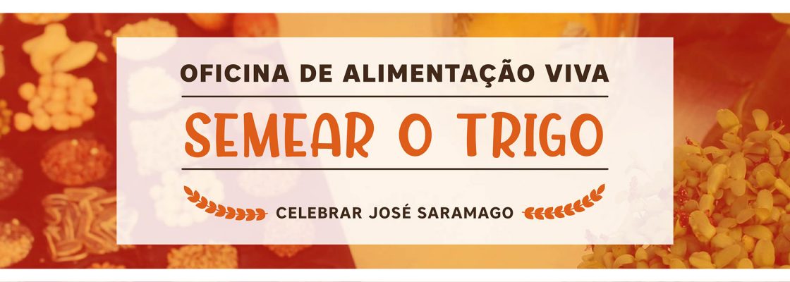 Oficina de Alimentação Viva – Semear o Trigo