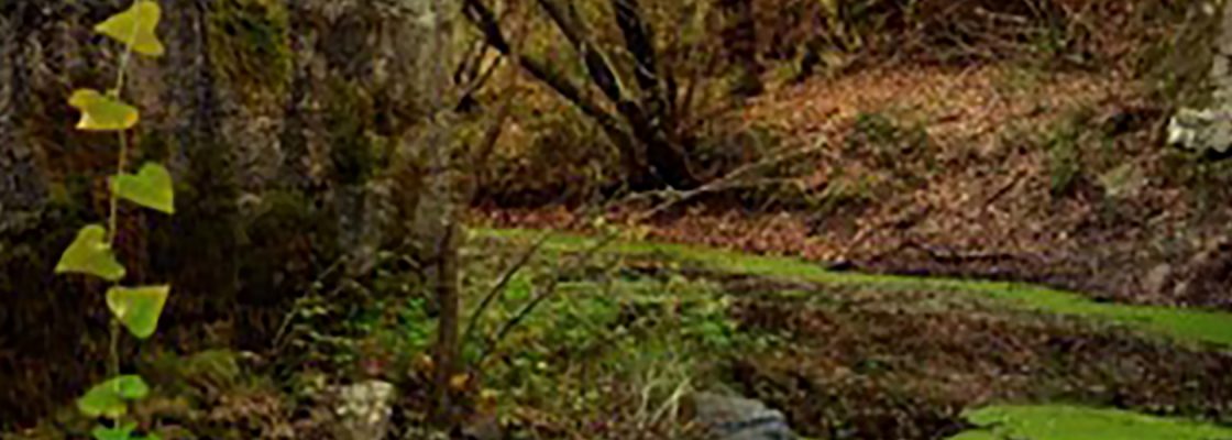 III Trail Terras de Lavre