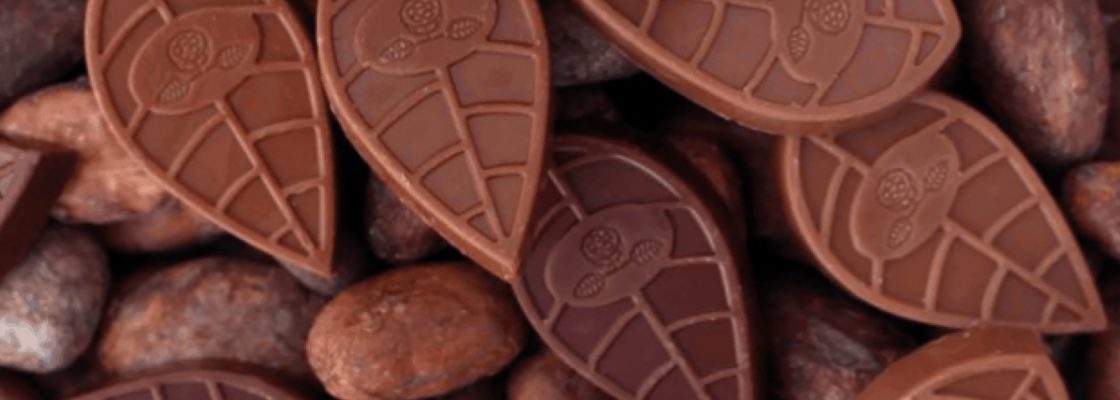 Montemor com Chocolate