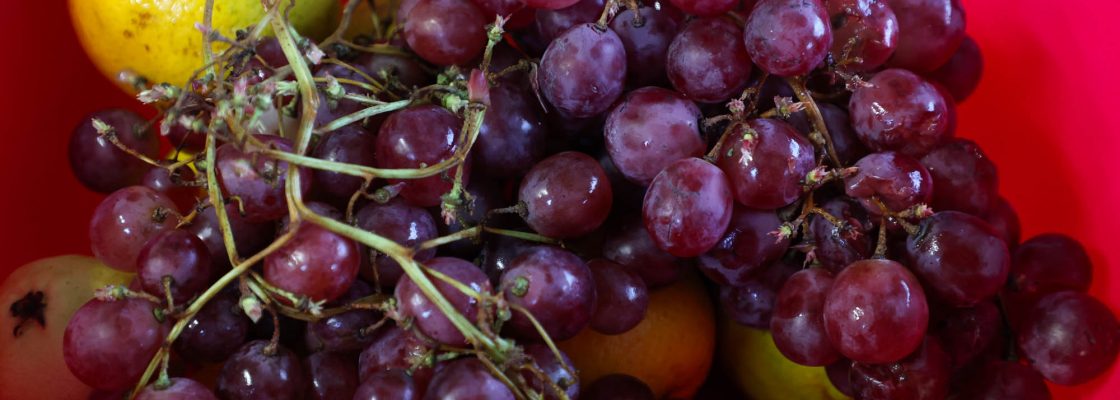 04 Ja comeste fruta hoje_Escola Secundaria (39)