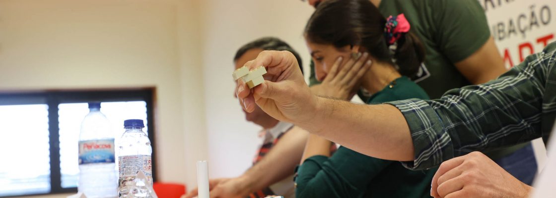 Lego Serious Play_L Vedorias (185)