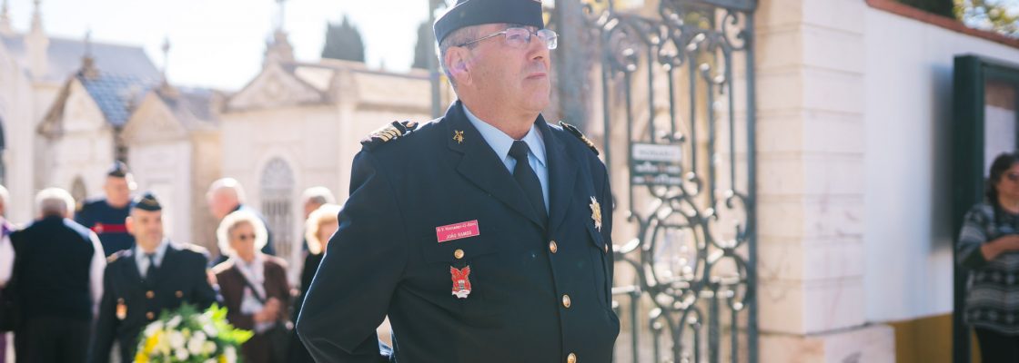 ALF02081