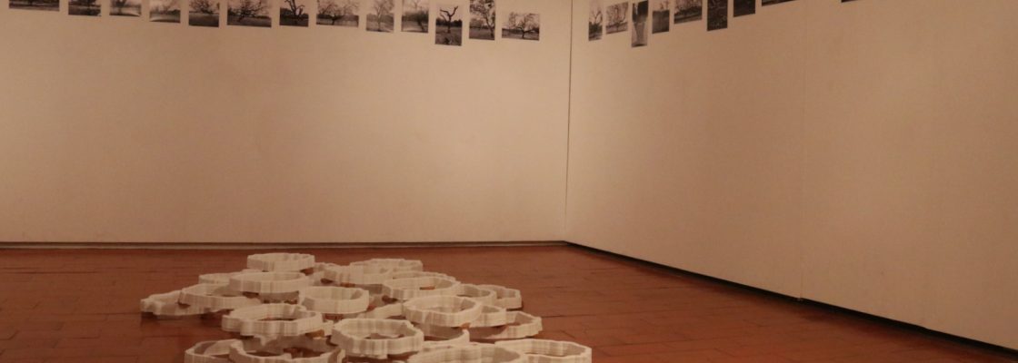 Ana A. Pinto (4)