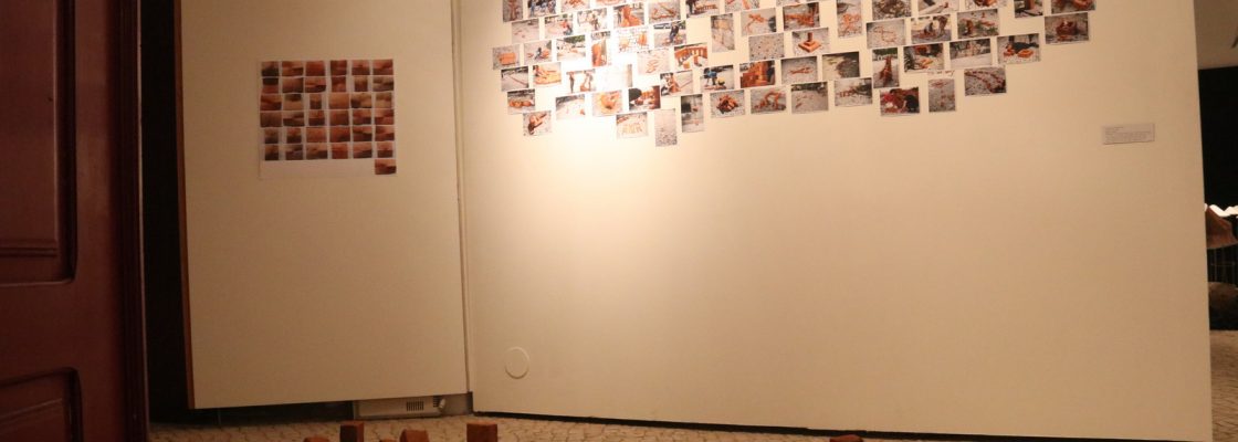 Ana A. Pinto (7)