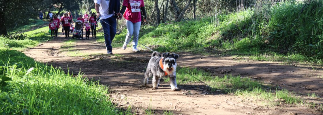 Corrida Escoural (117)