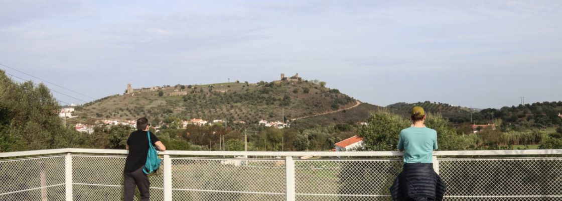 IMG_1432