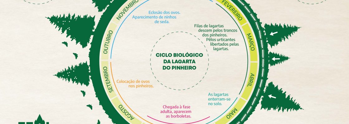 Município de Montemor-o-Novo efetua tratamento preventivo para a lagarta do pinheiro