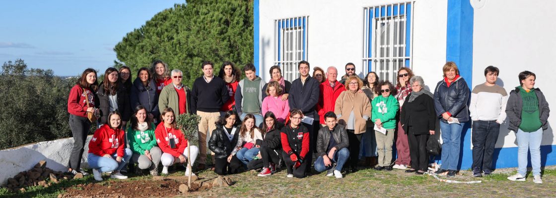 Coloc Oliveira NS Visitacao_JMJ (202b)