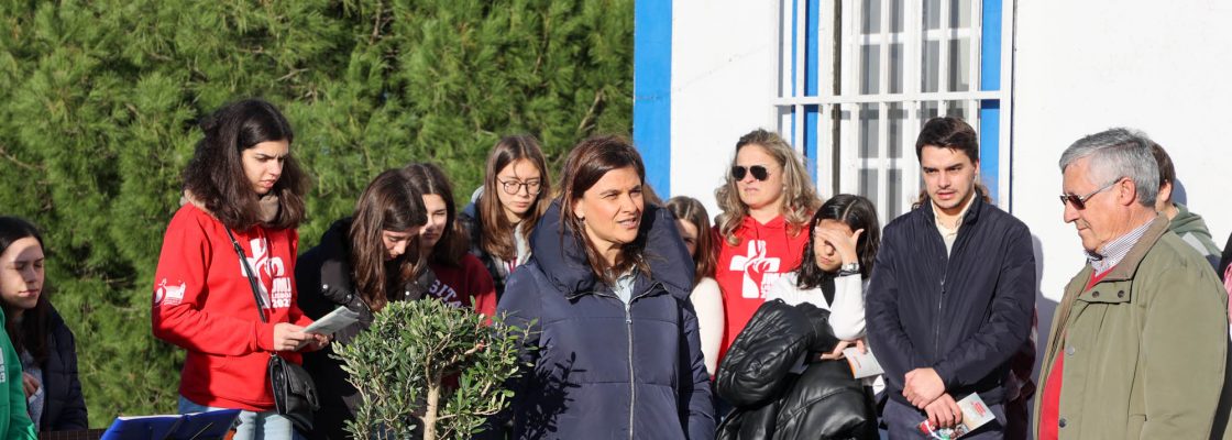 Coloc Oliveira NS Visitacao_JMJ (36)