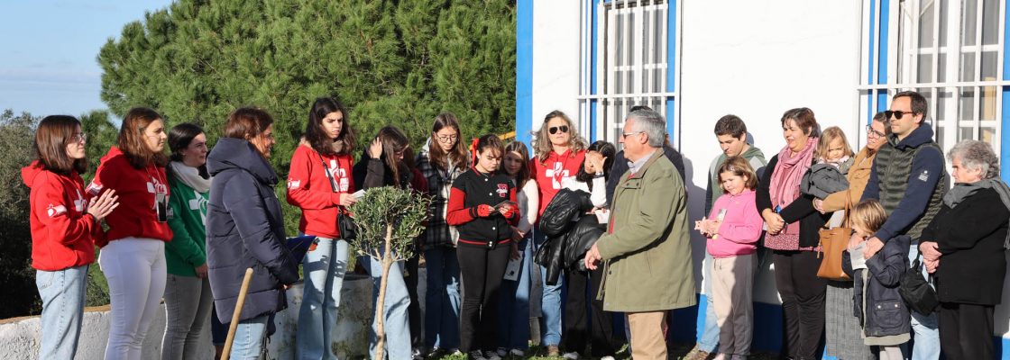 Coloc Oliveira NS Visitacao_JMJ (47)