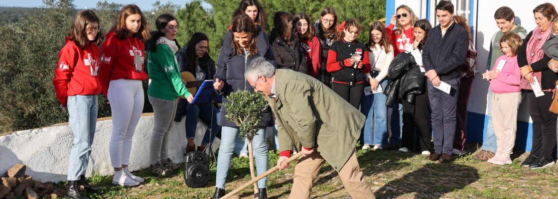 Coloc Oliveira NS Visitacao_JMJ (95)
