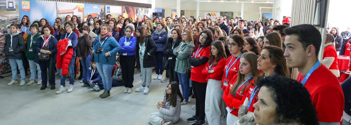 Mass Training_Suporte Basico de Vida_INEM (253)