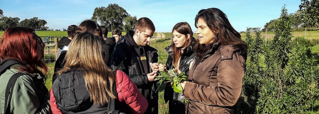 Visita Erva Brava (11)