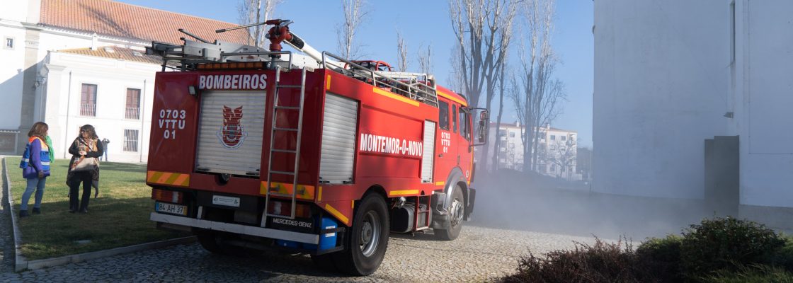 ALF05952