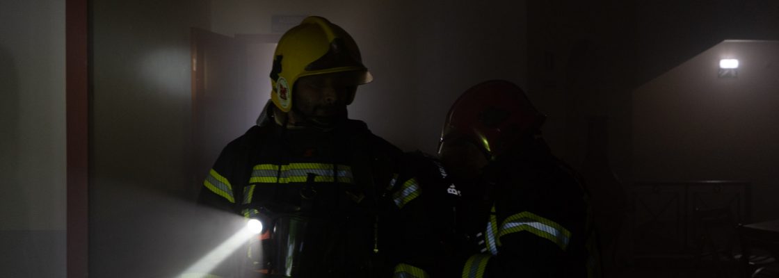 ALF06095