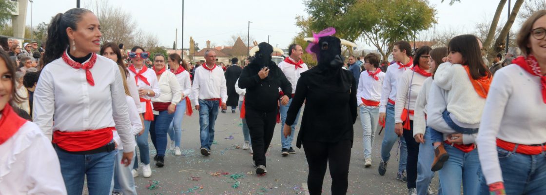Corso (176)