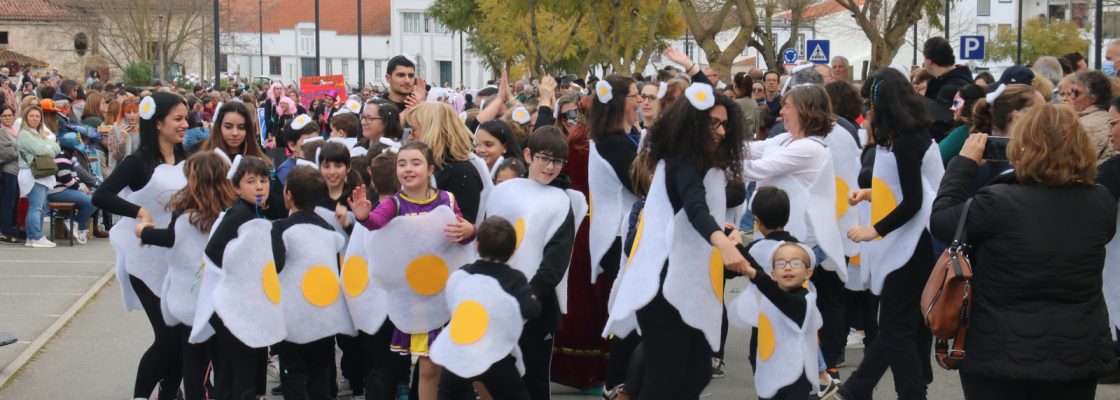 Corso (41)
