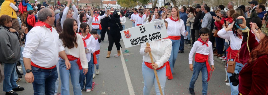 Corso (43)