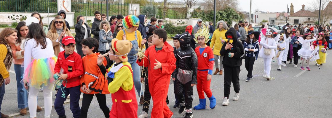 Desfile de Carnaval Infantil (140)