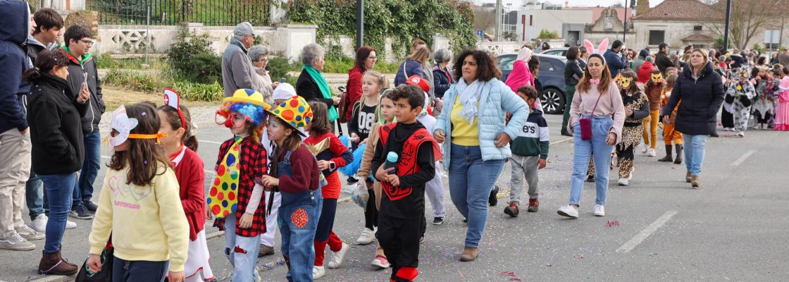 Desfile de Carnaval Infantil (166)