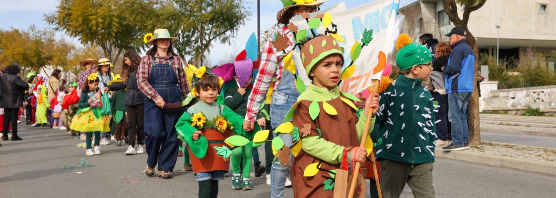 Desfile de Carnaval Infantil (241)