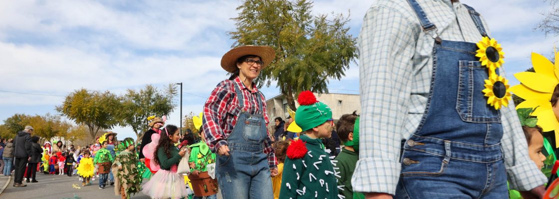 Desfile de Carnaval Infantil (248)