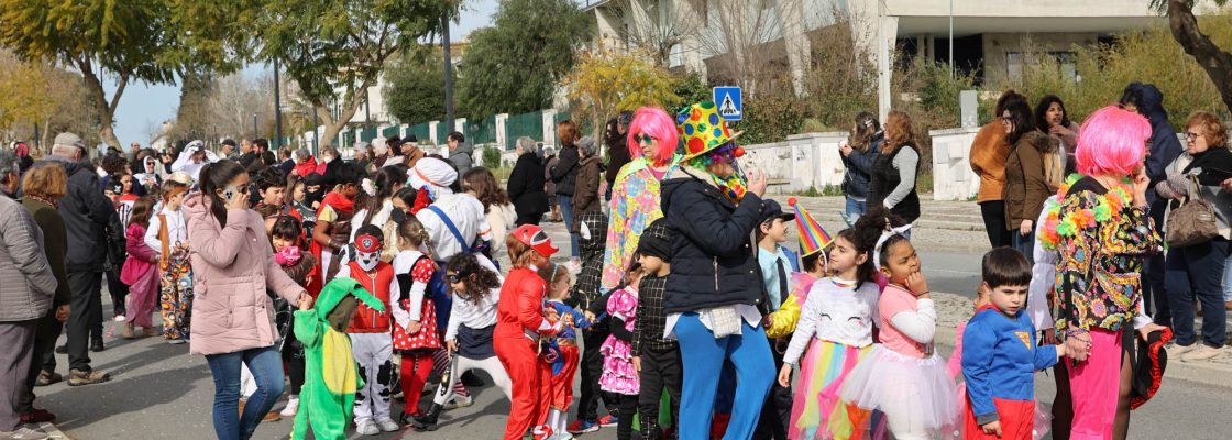 Desfile de Carnaval Infantil (284)