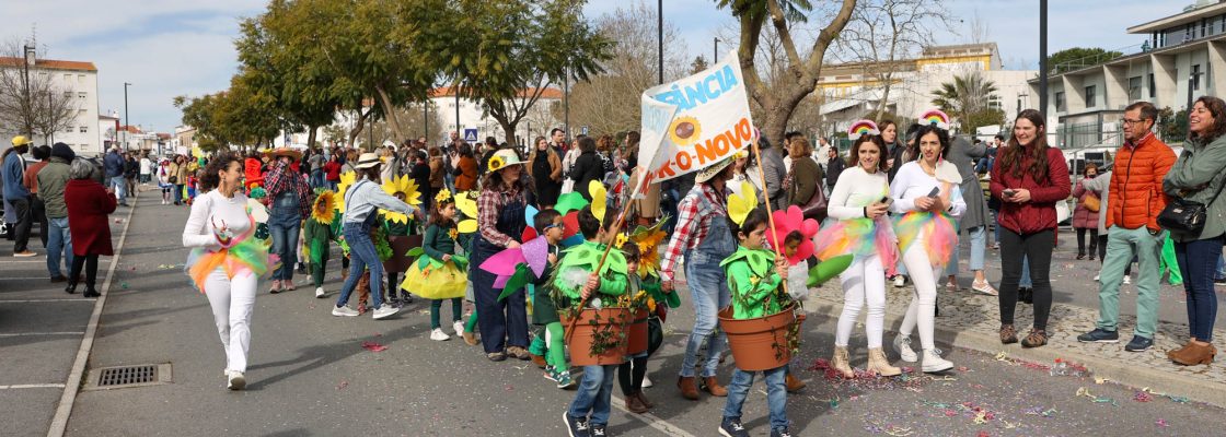 Desfile de Carnaval Infantil (406)