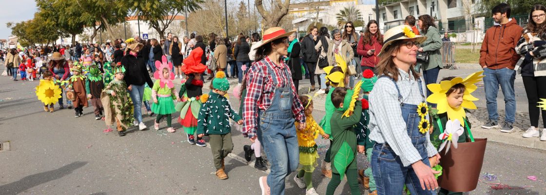 Desfile de Carnaval Infantil (413)