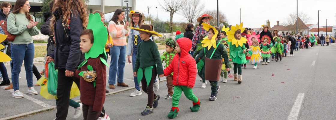 Desfile de Carnaval Infantil (73)