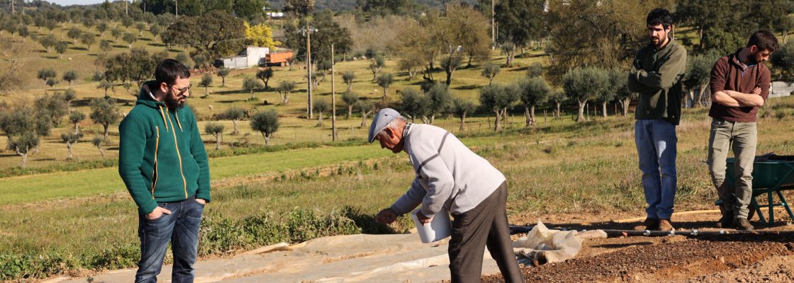 Dia campo viveiros Cebola Roxa (56)