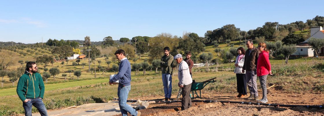 Dia campo viveiros Cebola Roxa (60)
