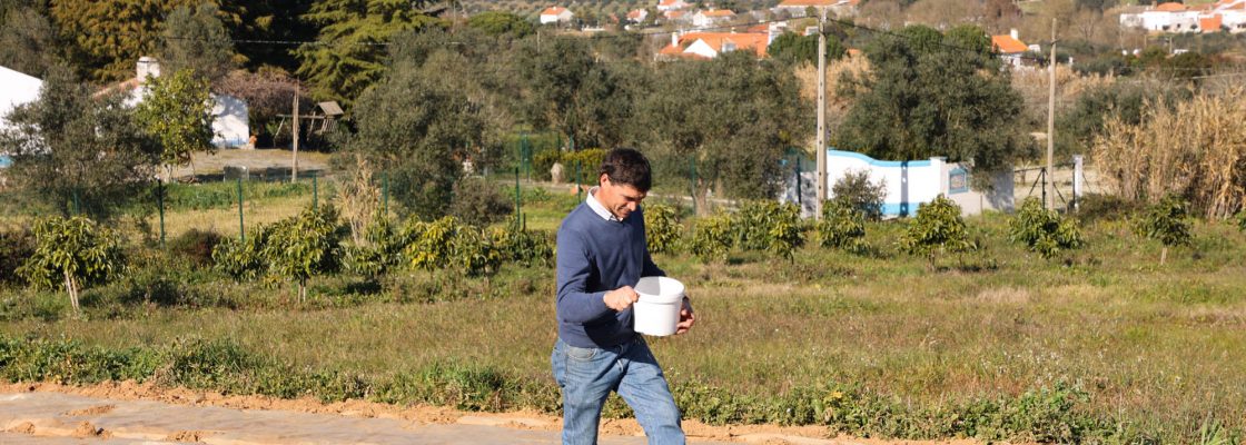 Dia campo viveiros Cebola Roxa (63)