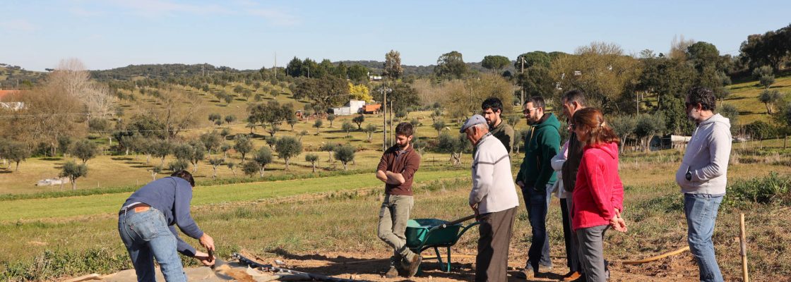 Dia campo viveiros Cebola Roxa (75)