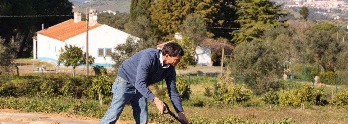 Dia campo viveiros Cebola Roxa (90)