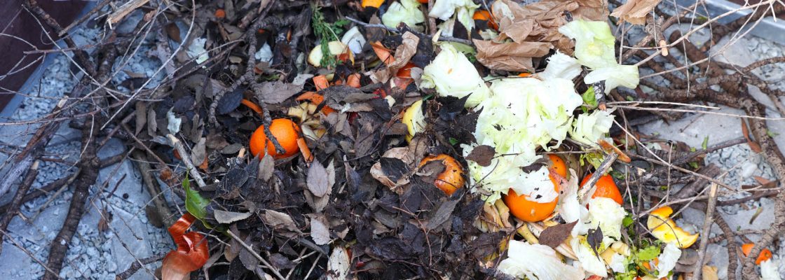 Semana da Compostagem_Alunos Escola Ciborro (145)
