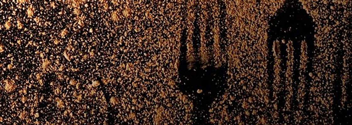 ‘Esta Senhora Vem Consigo?’ [Theatron – Associação Cultural]