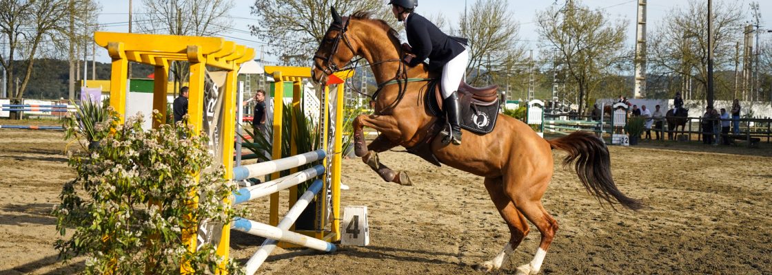 Centro Hípico D. Duarte organiza Concurso de Saltos Nacional C