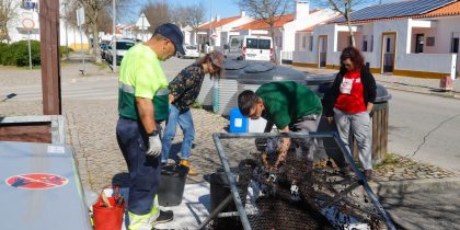 Primeiro composto recolhido no compostor comunitário da Rua Fernando Namora