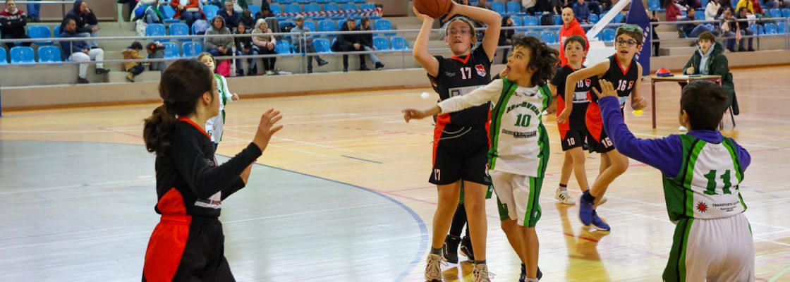 Basquetebol: sete equipas no Circuito Mini-Estrelas no Pavilhão Municipal